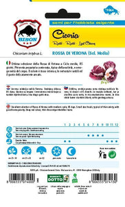 Cicoria Rossa di Verona (sel. Media)