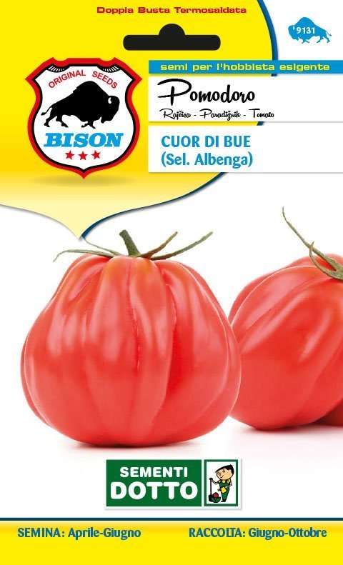 Pomodoro Cuor di Bue Selezione Albenga