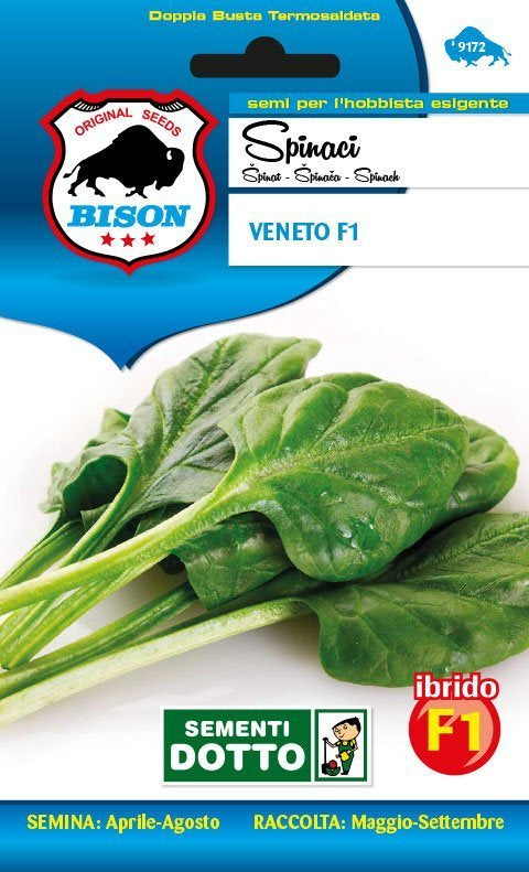 Spinacio Veneto F1 Ibrido