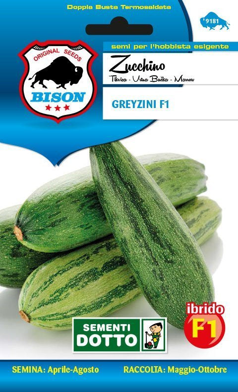 Zucchino Greyzini F1 Ibrido