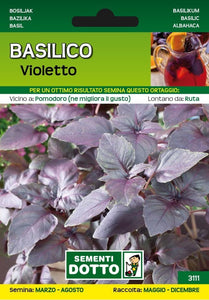 Basilico Violetto