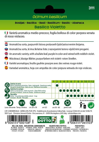 Basilico Violetto