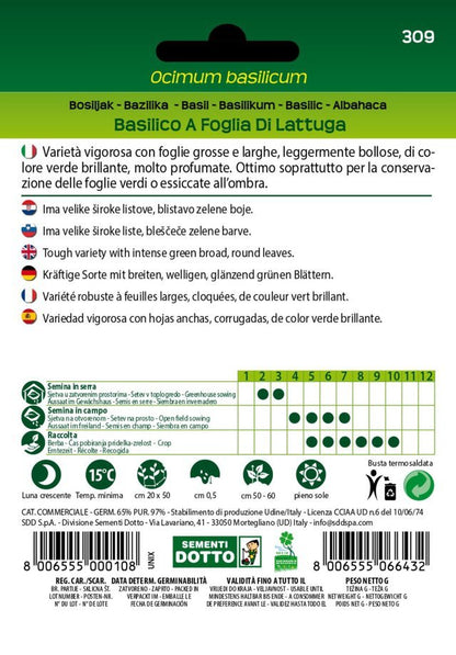 Basilico Foglia Lattuga