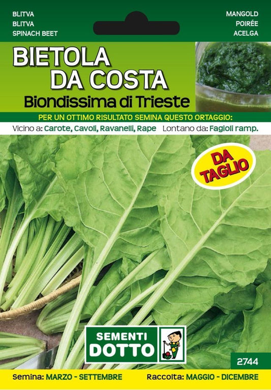 Bietola da Costa Biondissima di Trieste