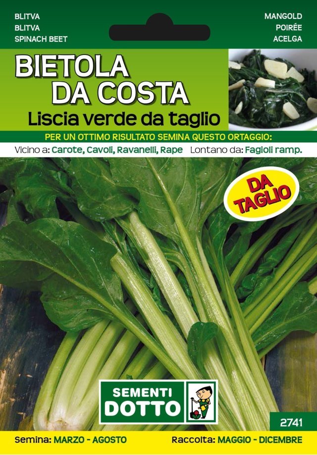 Bietola da Costa Liscia Verde da Taglio