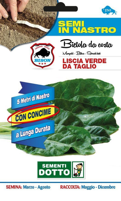Bietola da Costa Liscia Verde da Taglio in Semi a Nastro