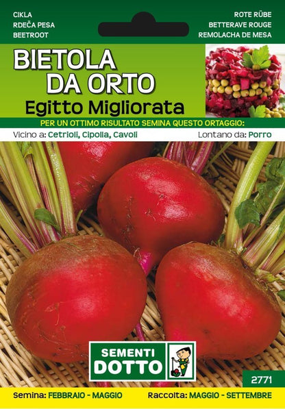 Bietola da Orto Egitto Migliorata