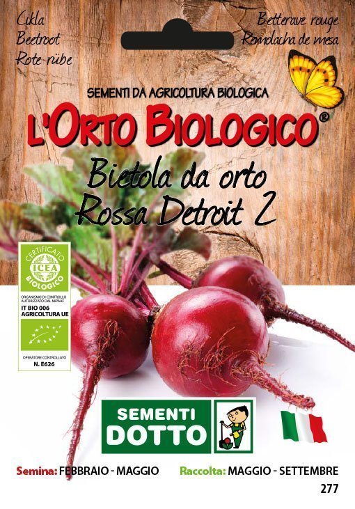 Bietola da Orto Detroit 2 - Giardango