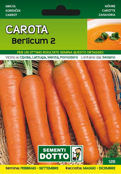 Carota Berlicum 2