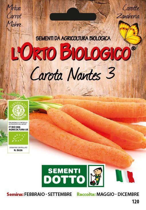 Carota Nantes 3 - Giardango