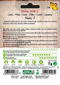 Carota Nantes 3