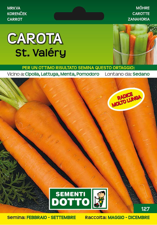 Carota Saint Valéry