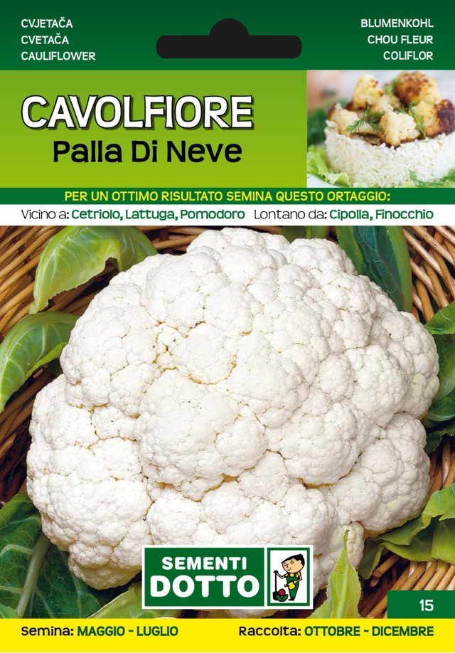 Cavolfiore Palla di Neve