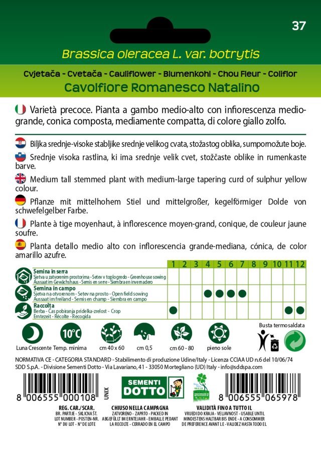 Cavolfiore Romanesco Natalino