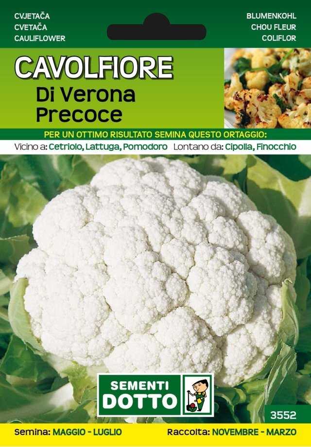 Cavolfiore di Verona Precoce