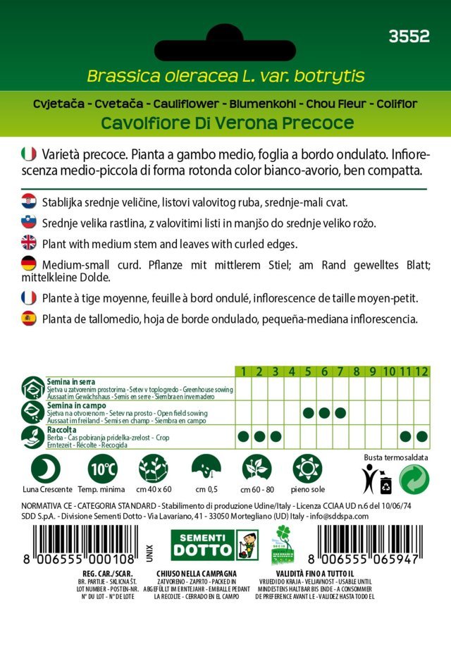 Cavolfiore di Verona Precoce