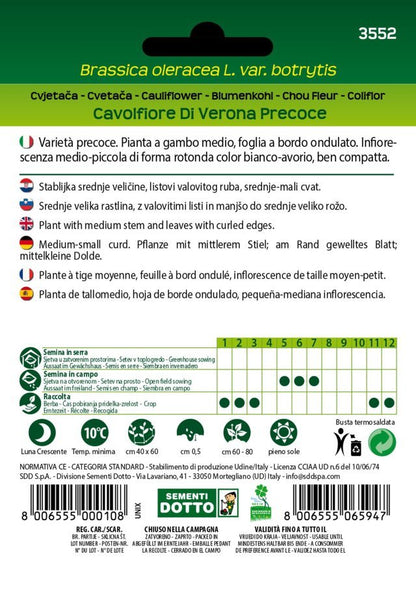 Cavolfiore di Verona Precoce