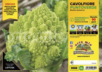 Cavolfiore Romanesco Precoce Puntoverde - Giardango