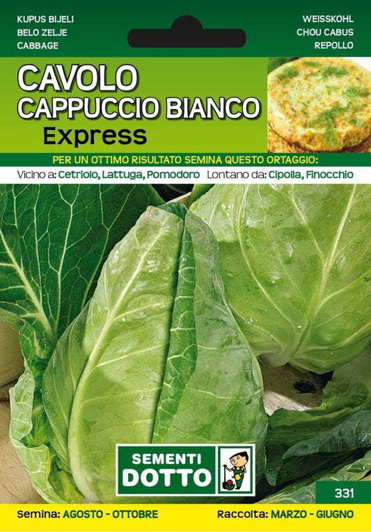 Cavolo Cappuccio Bianco Express