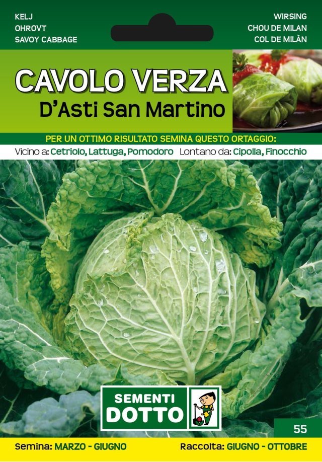 Cavolo Verza D'Asti San Martino