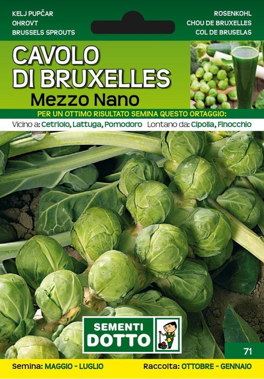 Cavolo di Bruxelles Mezzo Nano