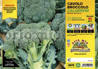 Broccolo Calabrese Precoce Heraklion