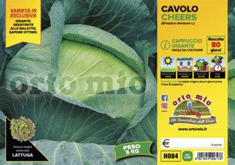 Cavolo Cappuccio Gigante Cheers