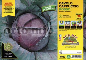 Cavolo Cappuccio Tondo Rosso Red Jewel - Giardango
