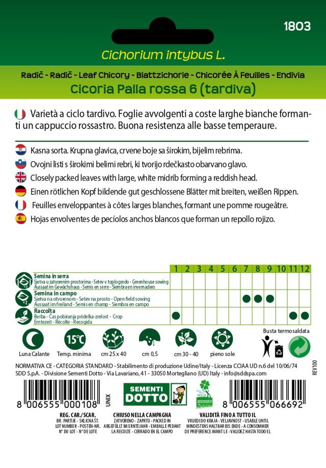 Cicoria Palla Rossa 6 Tardiva