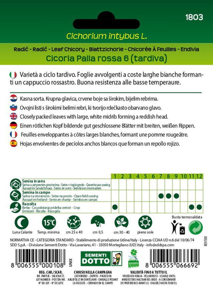 Cicoria Palla Rossa 6 Tardiva