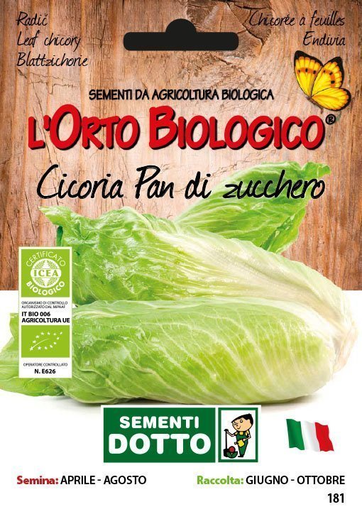 Cicoria Pan di Zucchero - Giardango