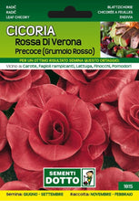 Carica l&#39;immagine nel visualizzatore di Gallery, Cicoria Rossa di Verona Precoce (Grumolo Rosso)
