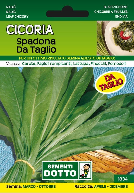 Cicoria Spadona da Taglio