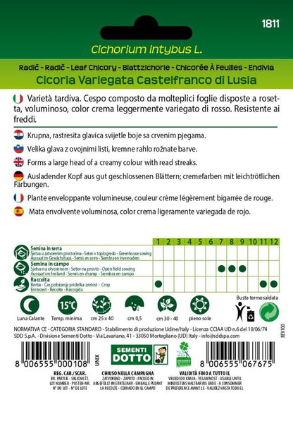 Cicoria Variegata Castelfranco di Lusia