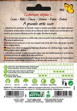 Carica l&#39;immagine nel visualizzatore di Gallery, Cicoria a Grumolo Verde Scuro
