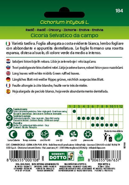 Cicoria Selvatico da Campo