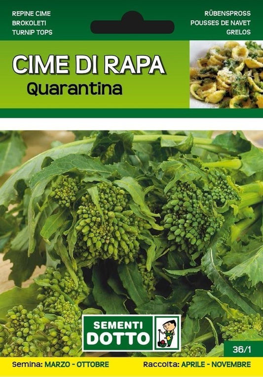 Cime di Rapa Quarantina - Giardango