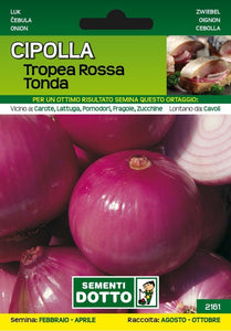 Cipolla Tropea Rossa Tonda