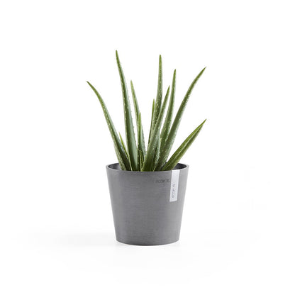 Vaso Tondo Ecopots Amsterdam 17 Grigio