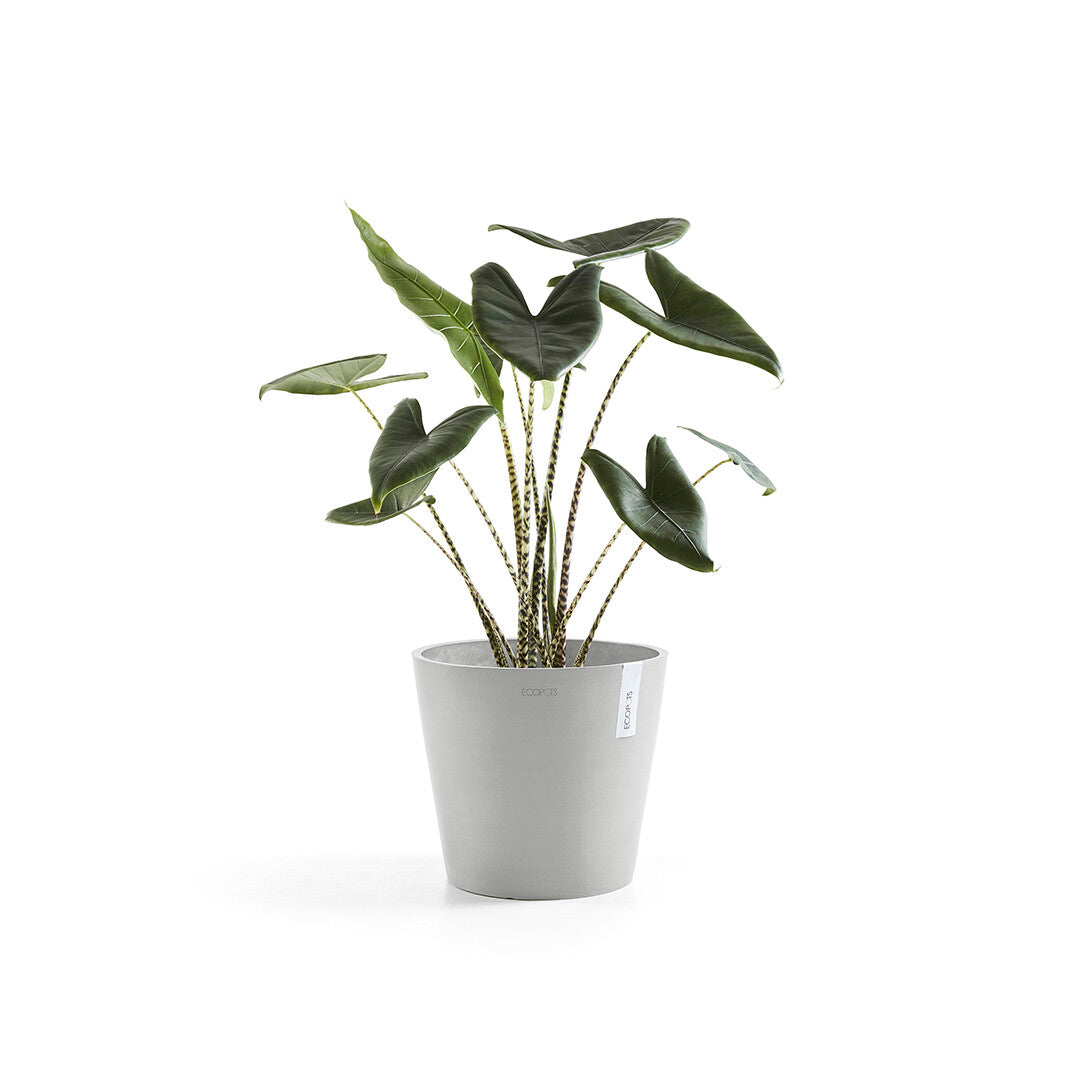 Vaso Tondo Ecopots Amsterdam 30 Grigio Chiaro