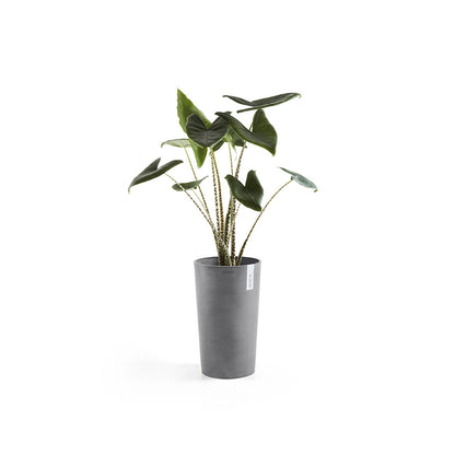 Vaso Tondo Ecopots Amsterdam Mid High 50 Grigio