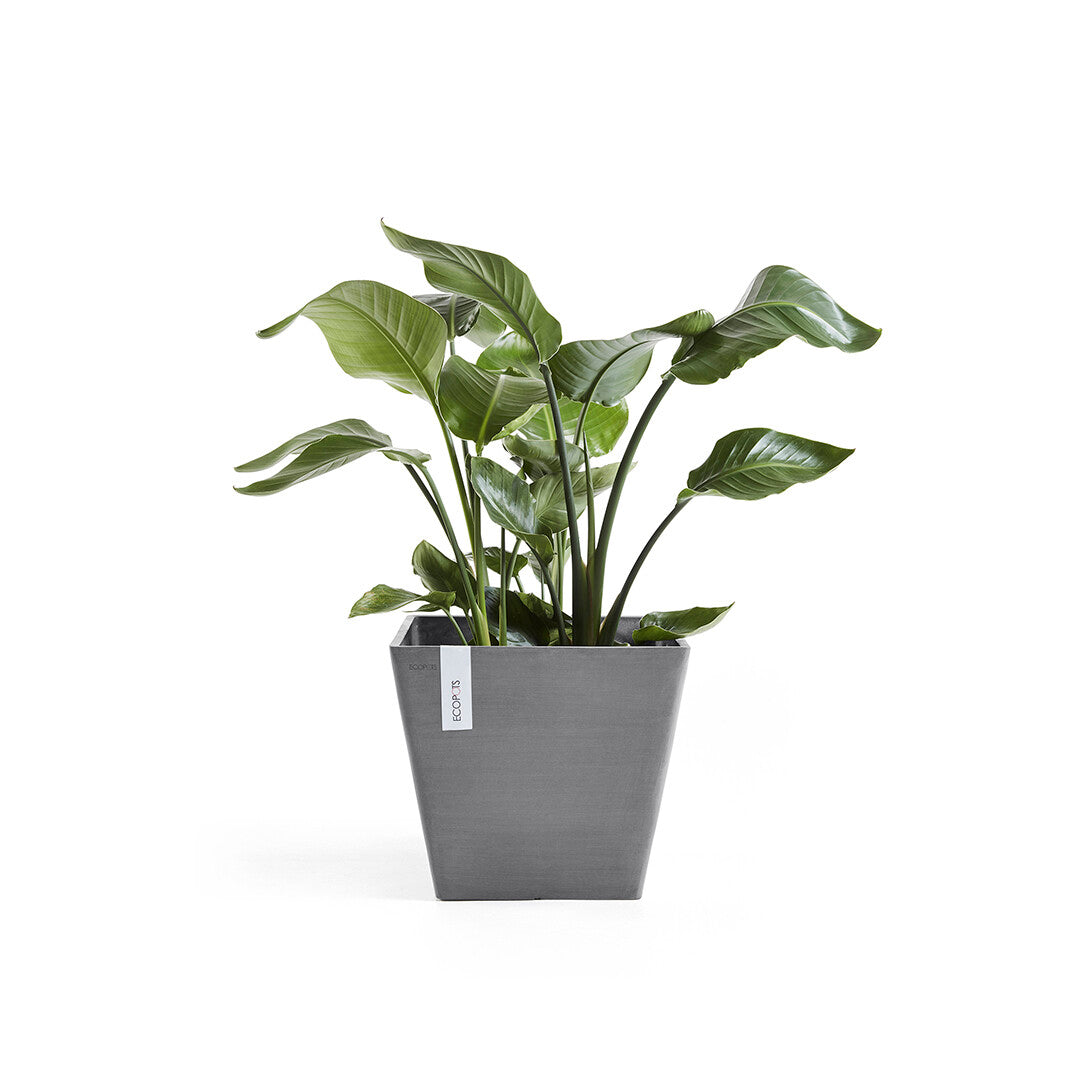 Vaso Squadrato Ecopots Rotterdam 30 Grigio