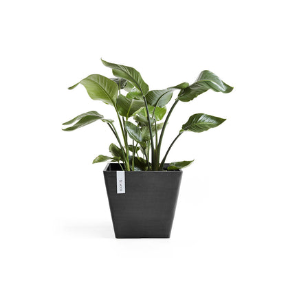 Vaso Squadrato Ecopots Rotterdam 30 Grigio Scuro