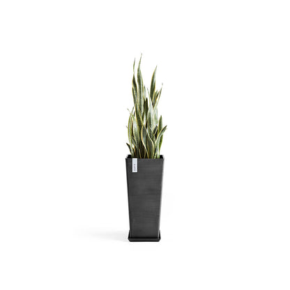 Vaso Squadrato Ecopots Rotterdam High 70 Grigio Scuro