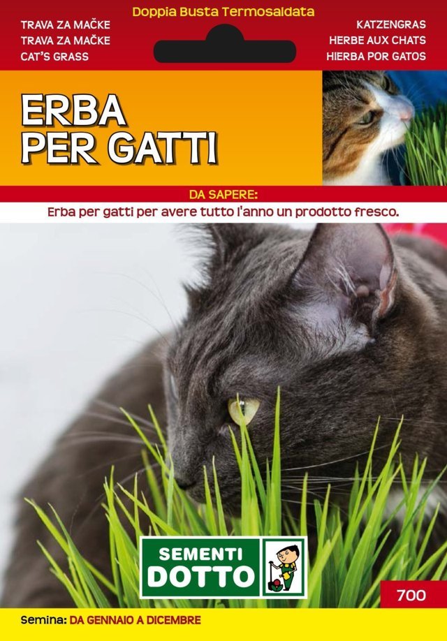 Erba per Gatti