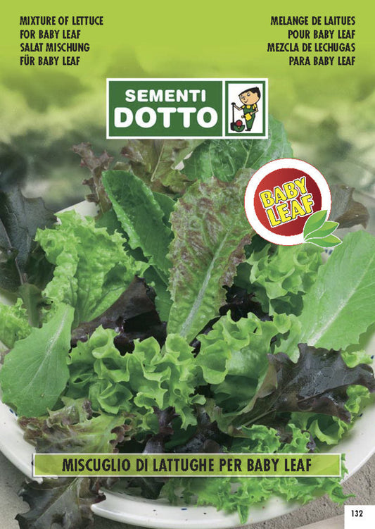 Lattughe per Baby Leaf