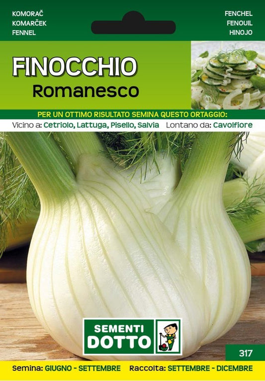 Finocchio Romanesco - Giardango