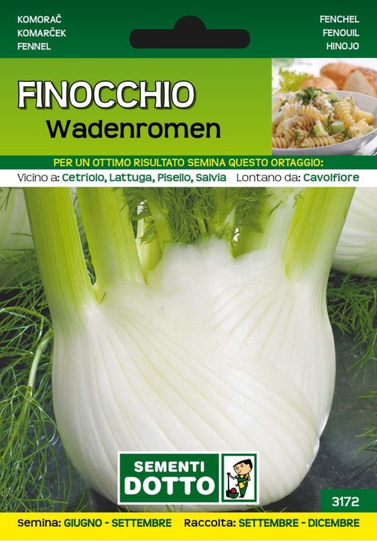 Finocchio Wadenromen - Giardango