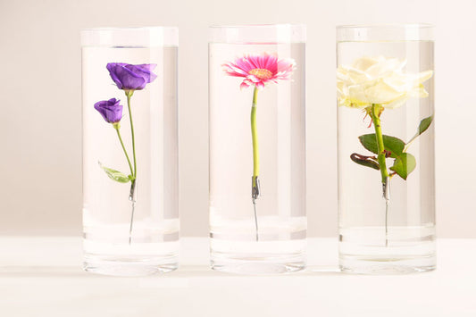 Vaso per Fiore Sommerso in Acqua