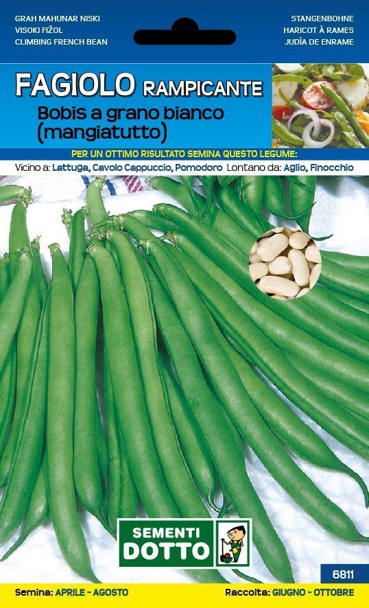 Fagiolo Bobis a Grano Bianco Rampicante